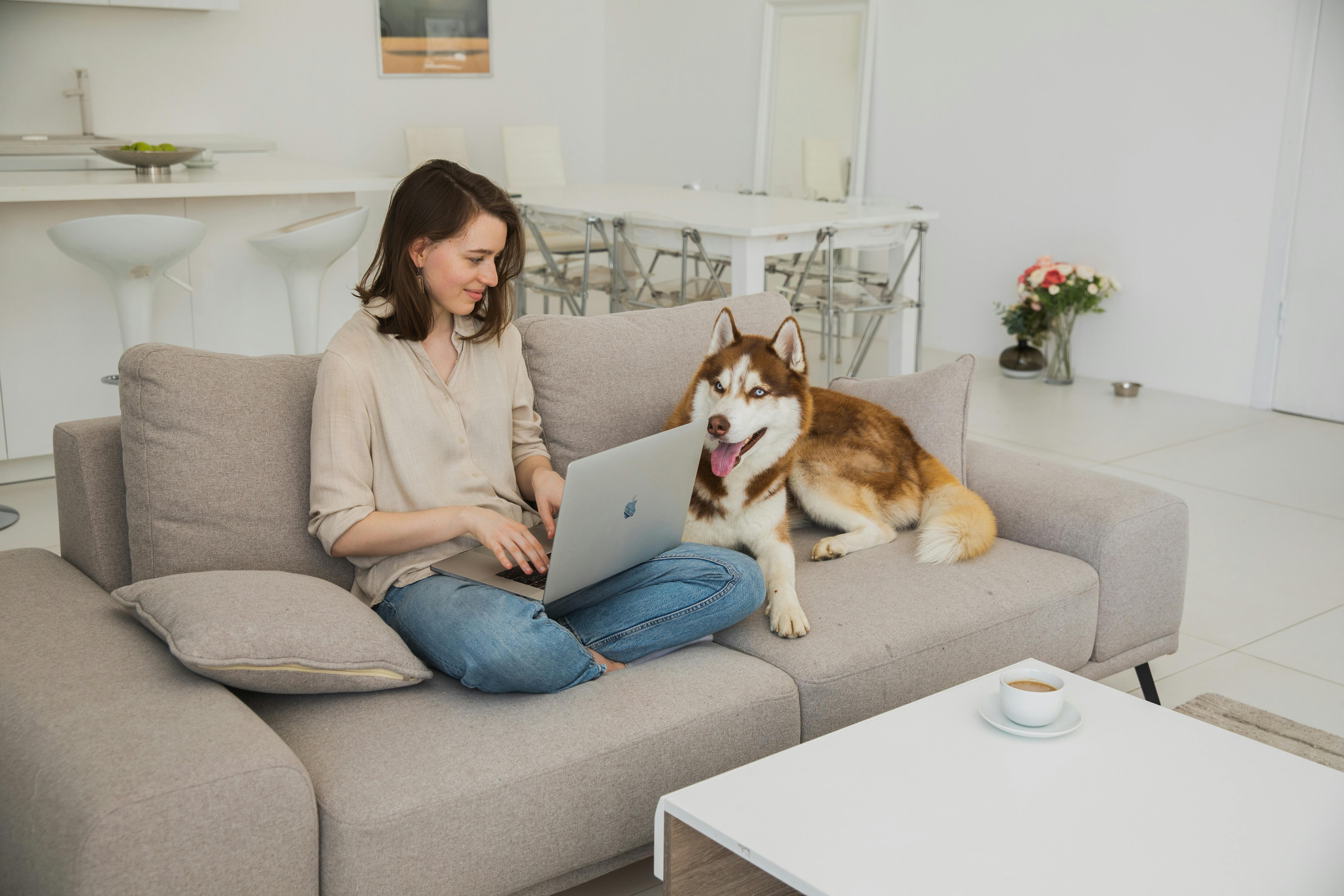 Another happy pet with owner